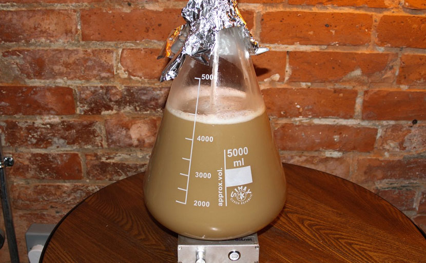 Preparazione di uno Starter