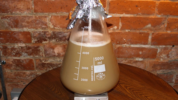 Preparazione di uno Starter