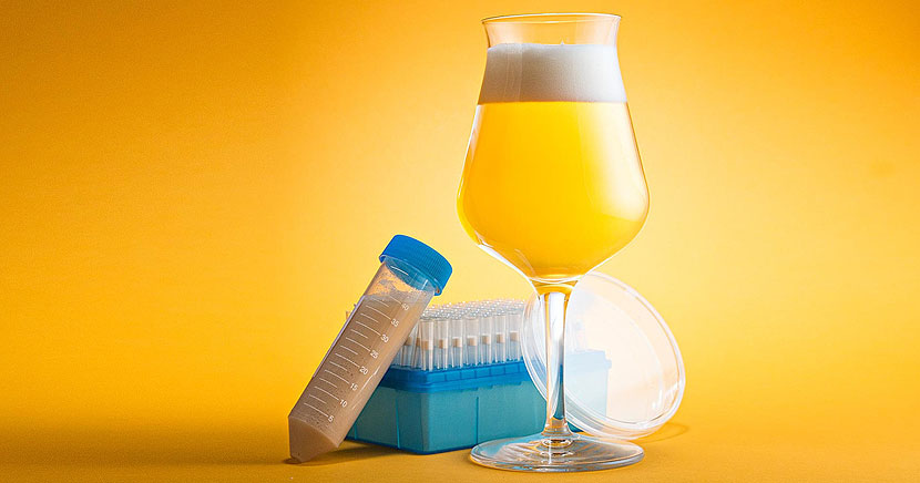 Gestione del lievito per la fermentazione