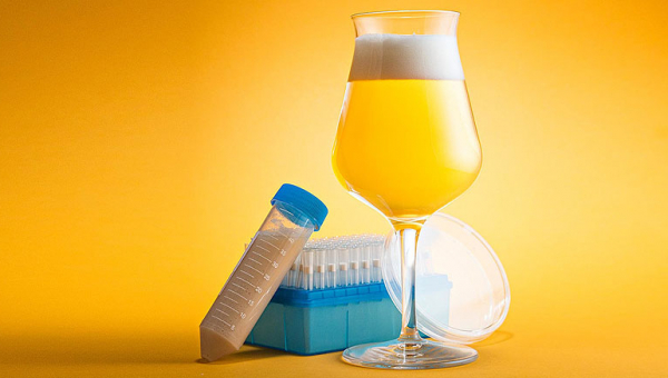 Gestione del lievito per la fermentazione