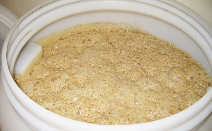 La fermentazione alcolica