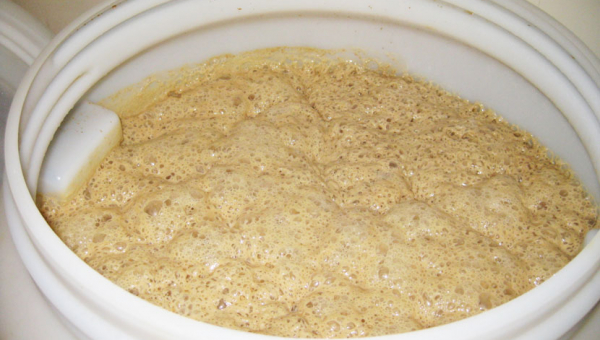 La fermentazione alcolica