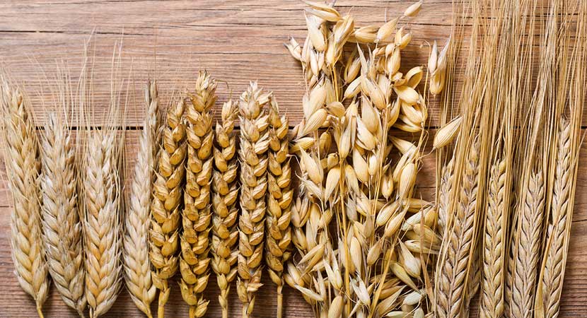 Altri cereali maltati (e non)