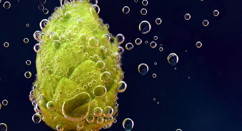 Stimare l'amarezza (parte 1)