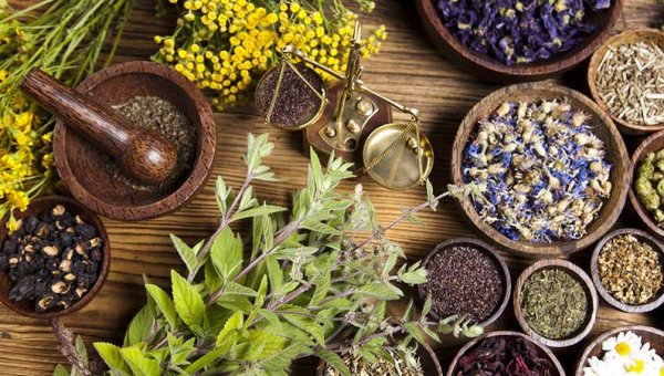 Spezie ed erbe e aromatiche