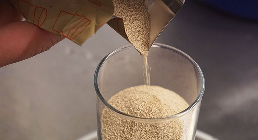 Tipologie di lievito