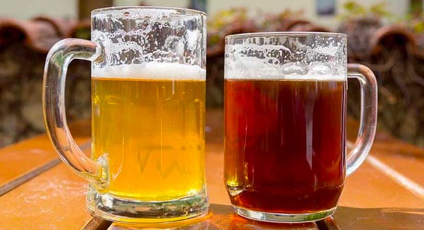 Bassa o alta fermentazione: quale scegliere?