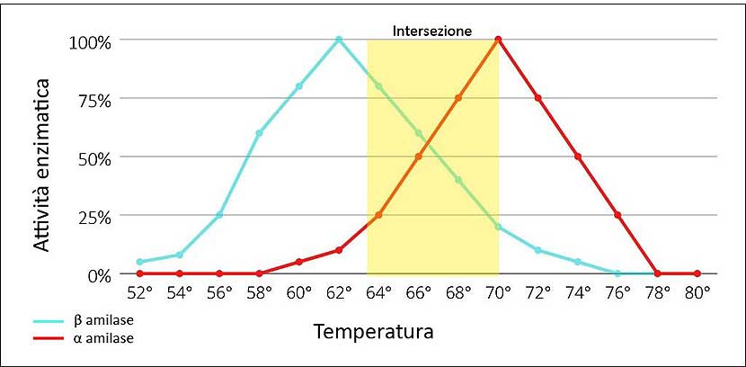 Intersezione delle Amilasi nell'ammostamento mono step