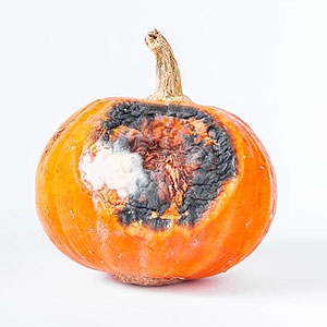 Effetti dei Mercaptani sulla birra