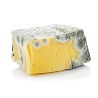 Effetti dell'Acido Butirrico sulla birra