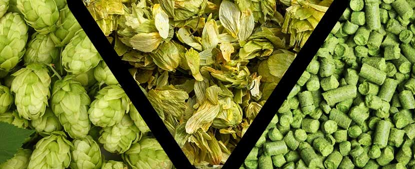 Formati commerciali di luppolo per birra