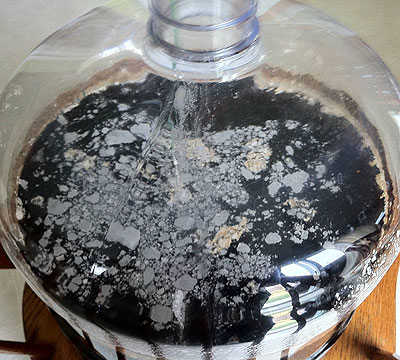 Infezione da fioretta del mosto birra