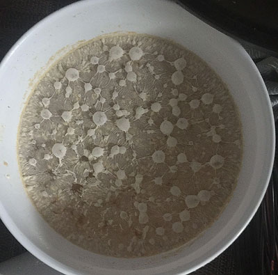 Infezione da lieviti selvaggi Brett del mosto birra