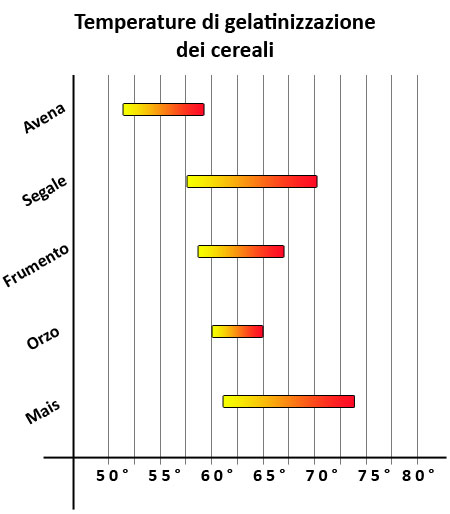 Temperature di gelatinizzazione dei cereali per fare birra a casa