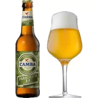 Camba Bavaria Paragraph 14