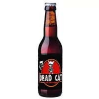 Beer Here Dead Cat